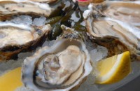 adce3589-80de-46cb-885a-6f088eebe2f3-540_q80_-jpg